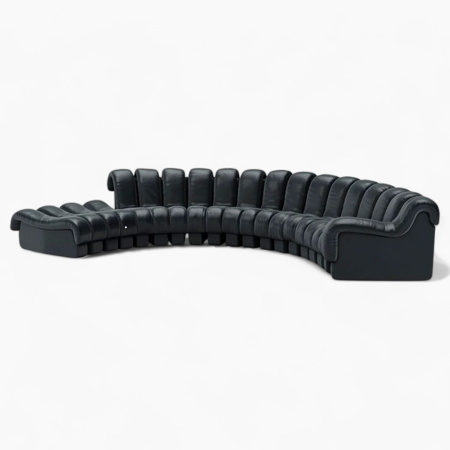 DS-600-Modular-Sofa-Black-3 DS-600 Snake Replica by Ueli Berger for De Sede - Image 1
