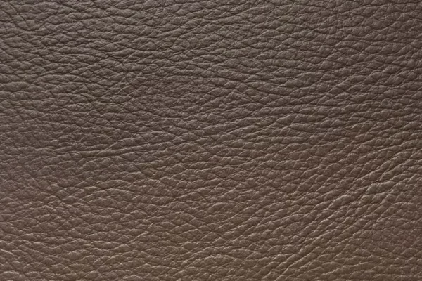 Aniline Leather - Dark Brown