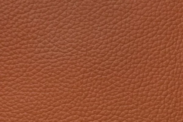 Top Grain Forte - Cigar Brown