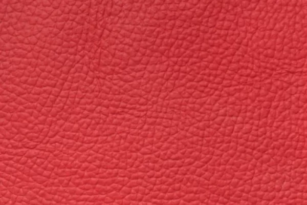Top Grain Forte - Red
